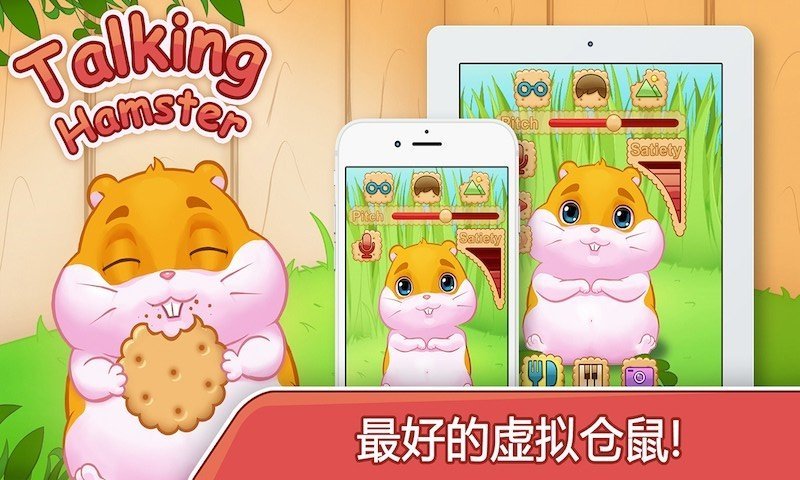 会说话的小仓鼠