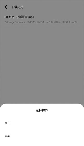 歌词适配app复活版