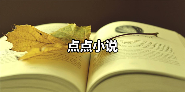 点点小说