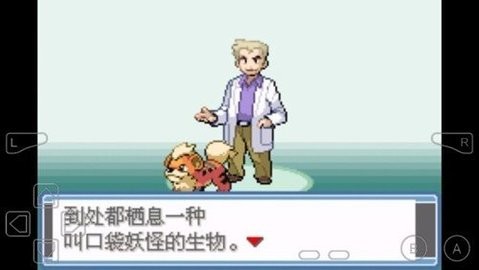 口袋妖怪永恒之焱随机版