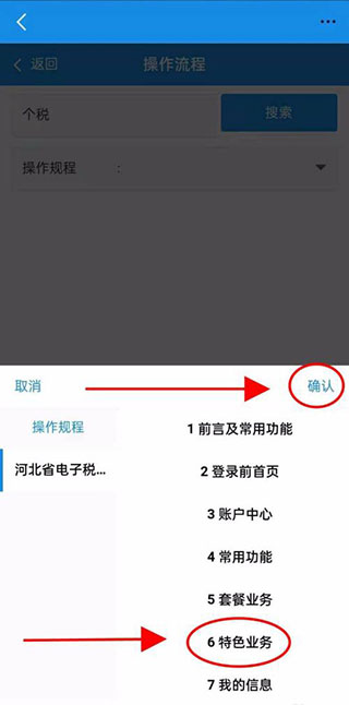 河北税务app
