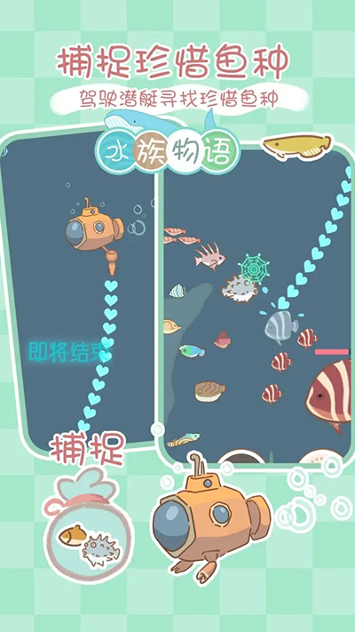 水族物语安卓版