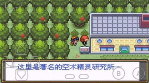 口袋妖怪暗黑银