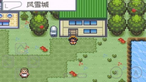 口袋妖怪暗黑银