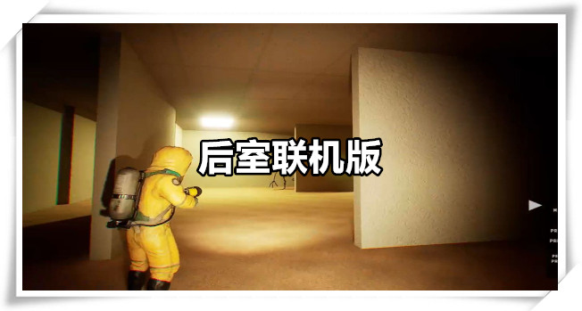 后室联机版