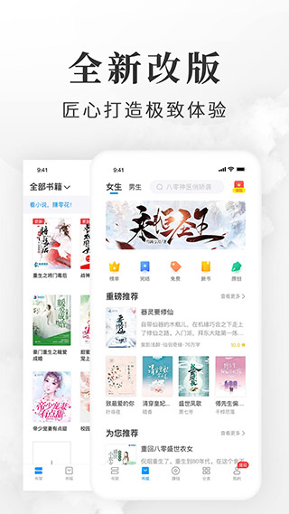 淘小说赚钱版