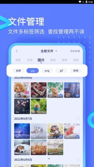 极连快传安卓版