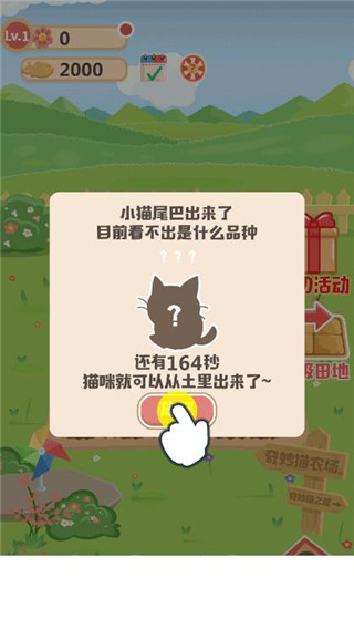 奇妙猫之家2024最新版