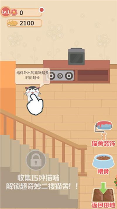 奇妙猫之家2024最新版