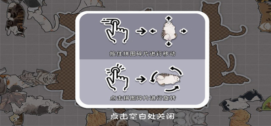 挤在一起的猫猫手机版