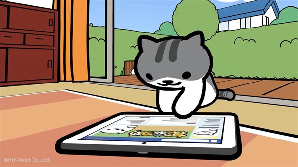 猫咪后院最新版