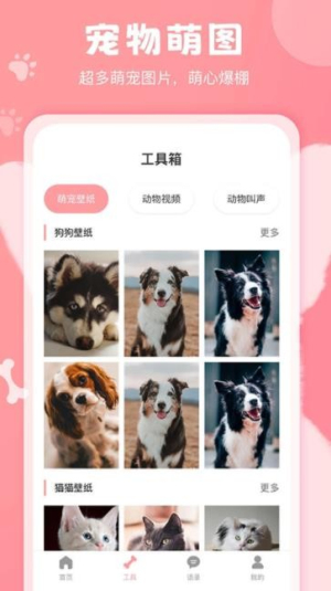 狗语翻译器中文版