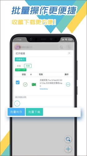 飞鸟下载器安卓版