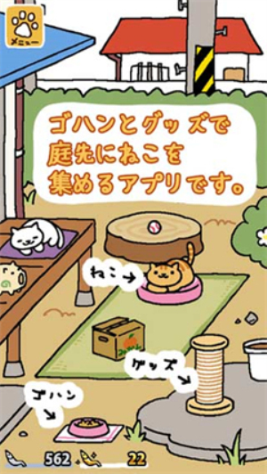 猫咪后院安卓版