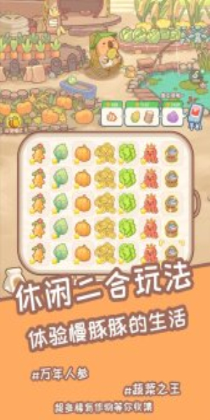慢豚豚的生活免广告