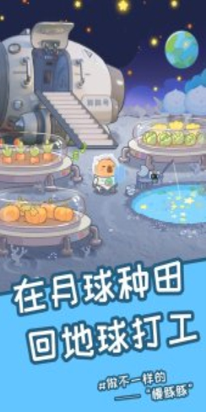 慢豚豚的生活免广告