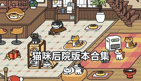 猫咪后院