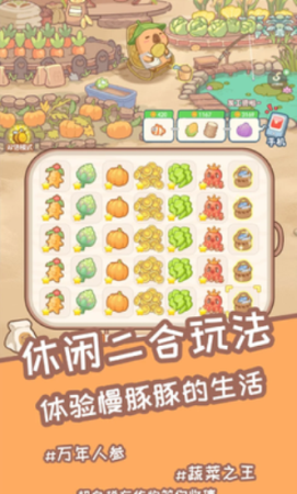慢豚豚的生活手机版