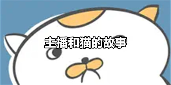 主播和猫的故事