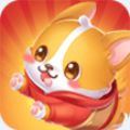 天天养狗