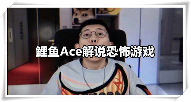 鲤鱼Ace解说恐怖游戏