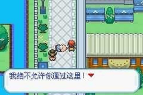 口袋妖怪梦的光点