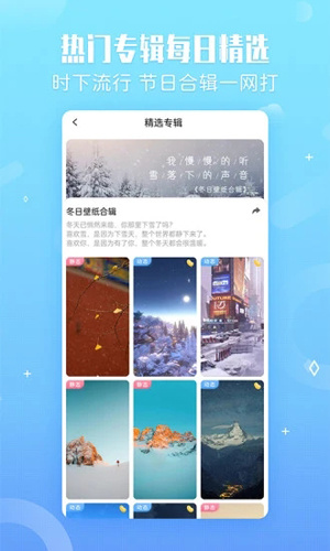 小鸟壁纸手机版
