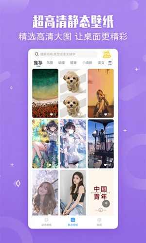 小鸟壁纸手机版