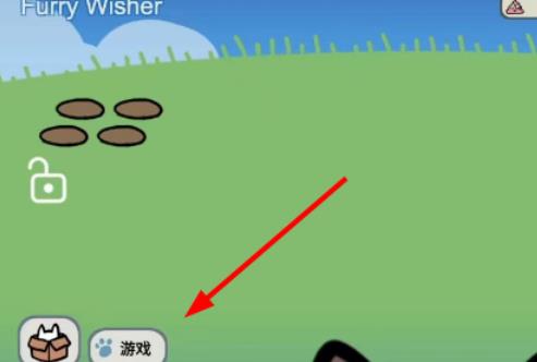 FurryWisher