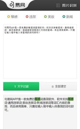 句易网文字检测