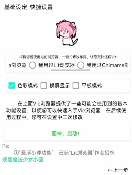 Vie浏览器