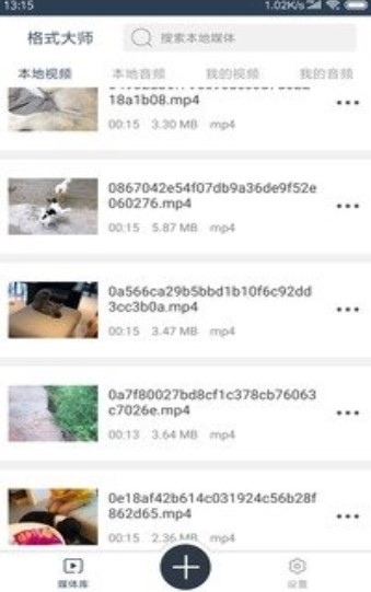 格式大师免费版