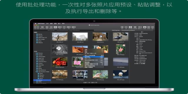 照相处理工具