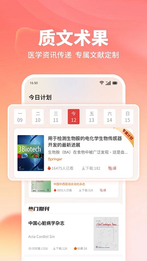质文术果