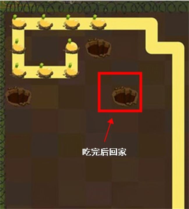 兔子复仇记最新版