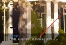 （暂未上线）