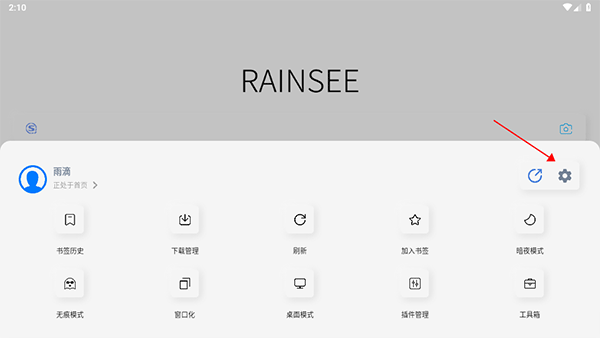 rains浏览器旧版