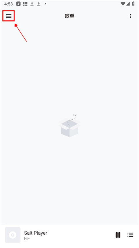 Salt Player会员版