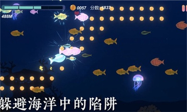 小鱼