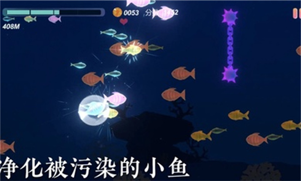 小鱼