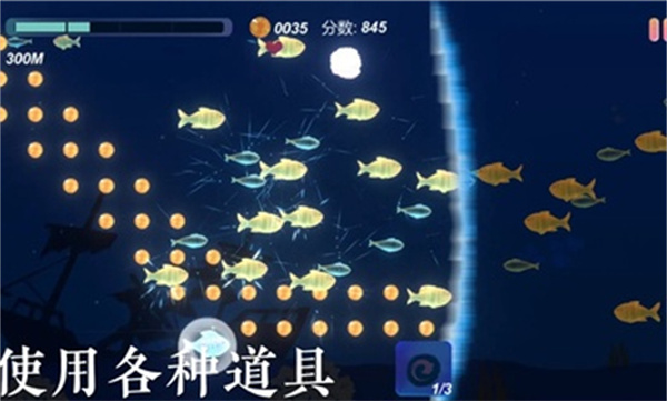 小鱼