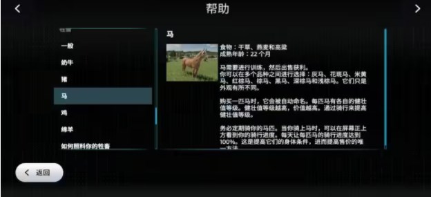 模拟农场23中国卡车模组