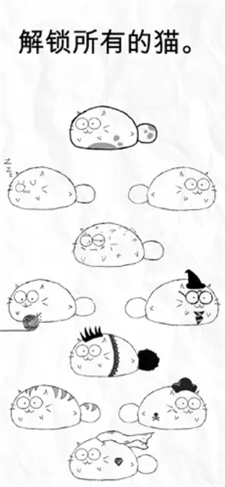 fatty cat自律猫