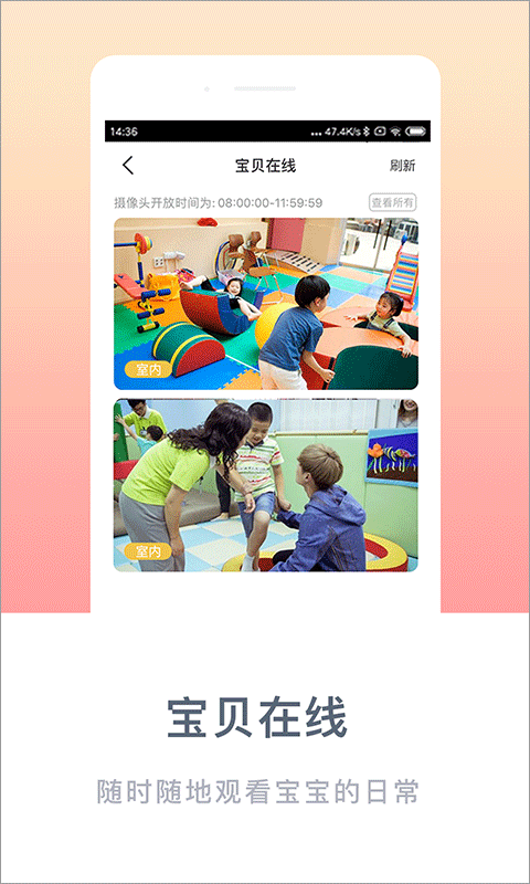 掌心宝贝最新版