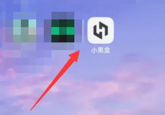 掌上吃鸡小黑盒