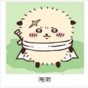 Chiikawa Pocket