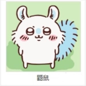 Chiikawa Pocket