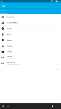 AveePlayer汉化版