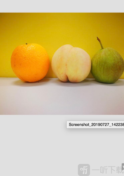 snapseed2024