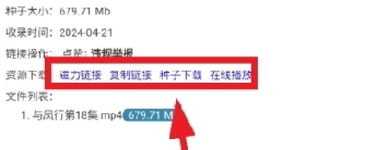 磁力宝最佳搜索引擎